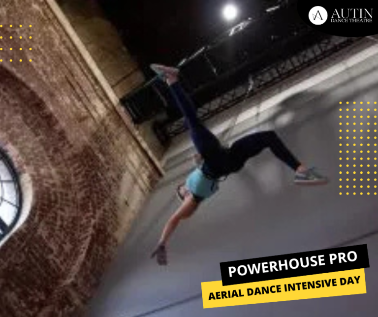 Powerhouse Pro: Aerial Dance Intensive Day | Advanced