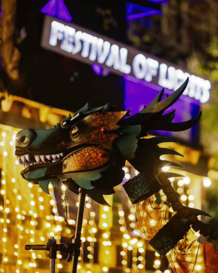 Caldmore Garden – The Festival of Lights